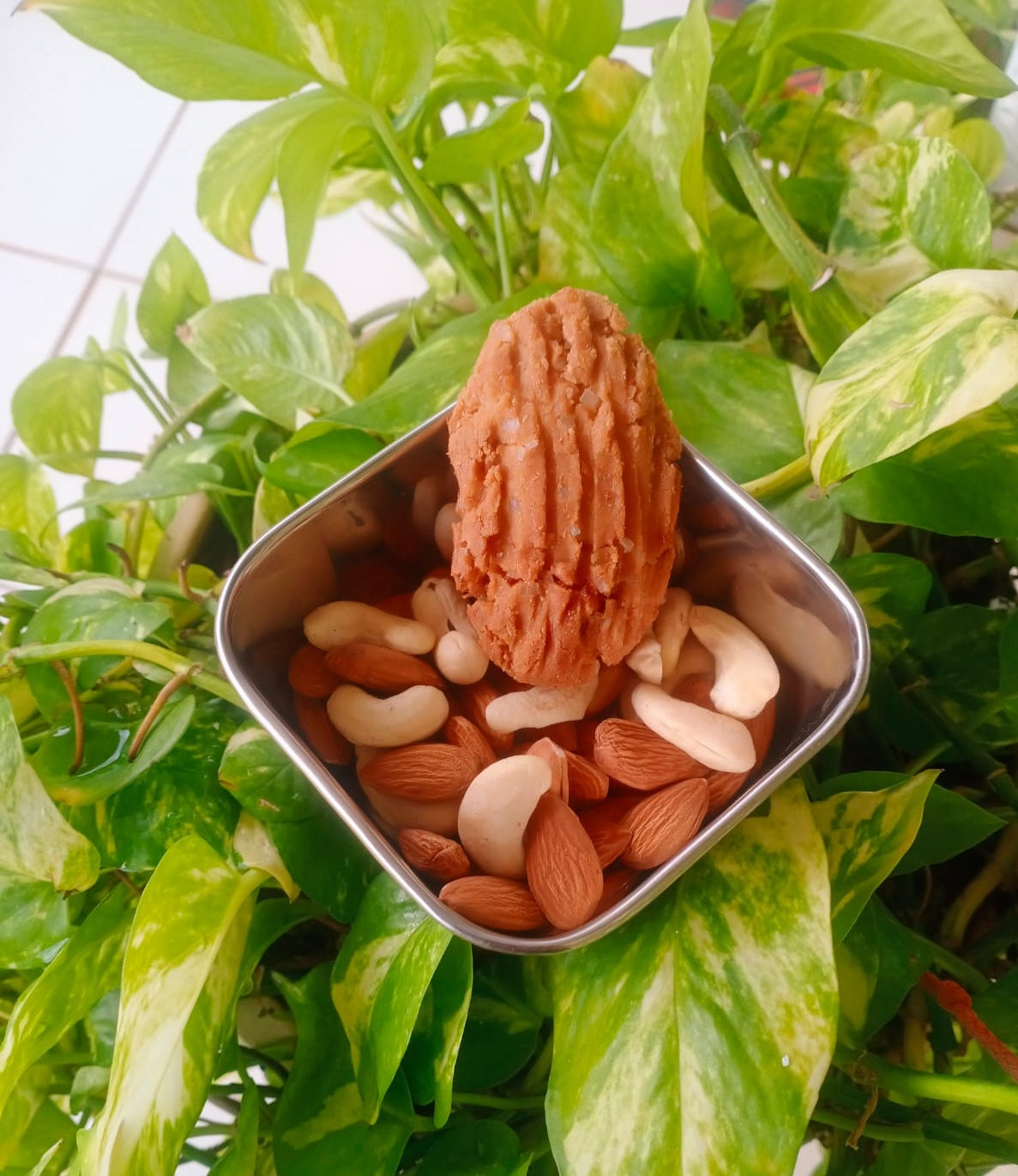 Desi Ghee Dry Fruit Special Thekua