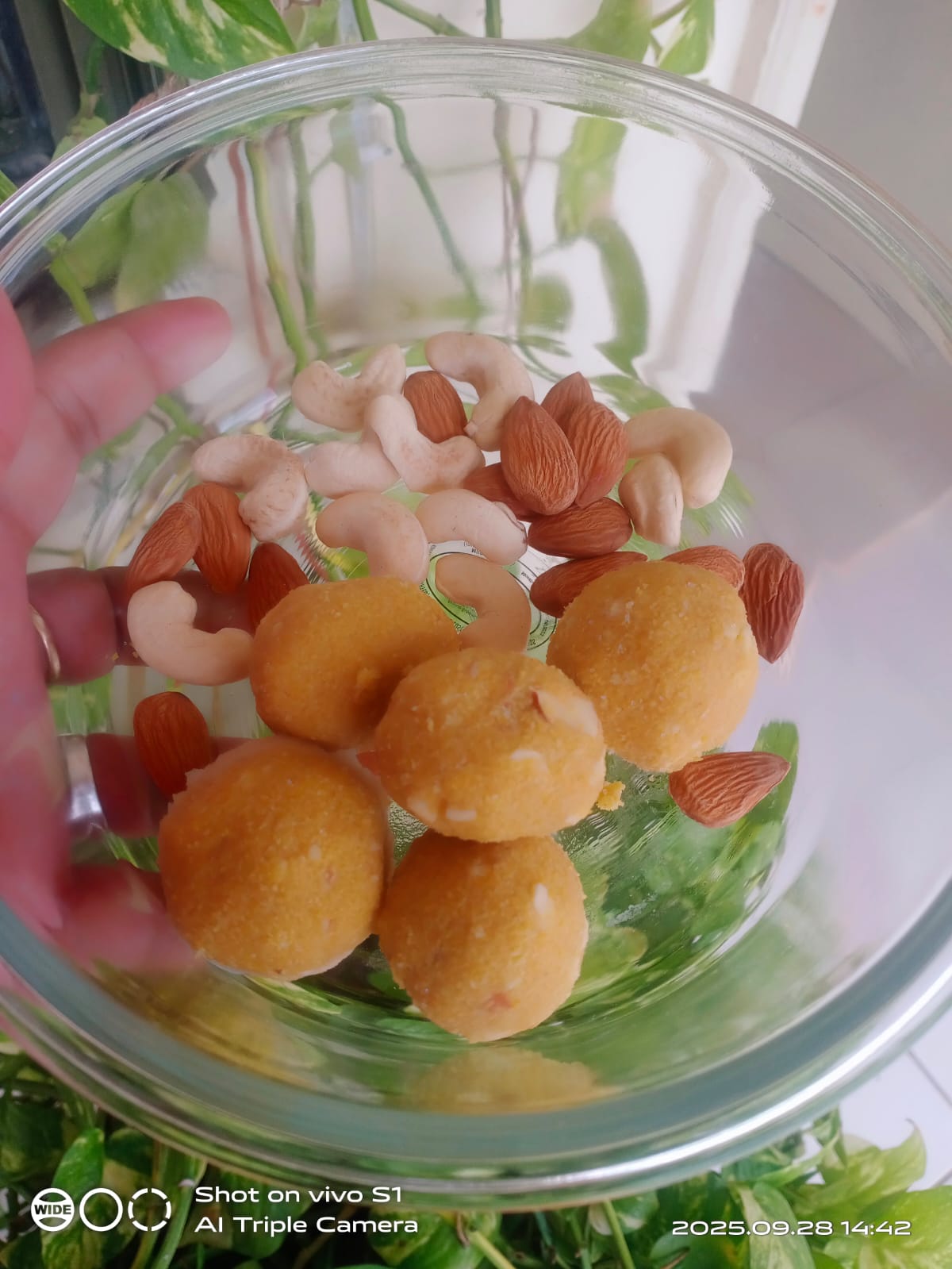 Dry Fruit Besan Laddu